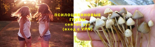 прущая мука Кинешма