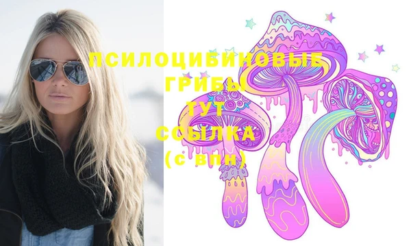 мескалин Карпинск