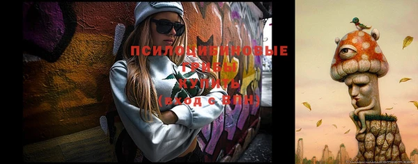 мескалин Карпинск